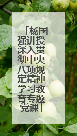 杨国强讲授深入贯彻中央八项规定精神学习教育专题党课